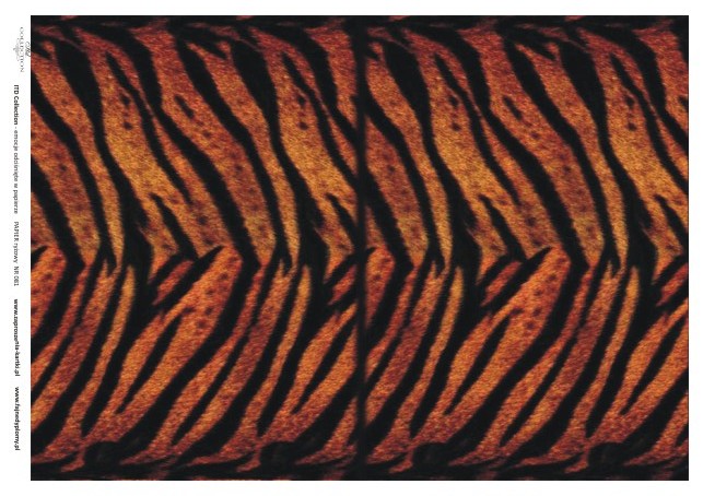 Рисовая бумага «Шкура тигра» А4