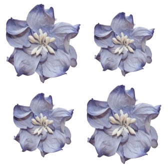 Квіти кучерявої фіалки, синьо-білі, D-5см (2шт), D-4см (2шт) 