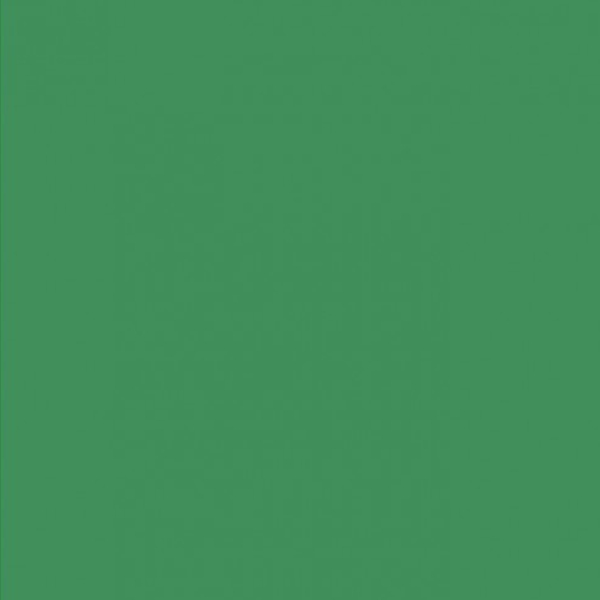 Картон Folia 50x70 см, 300 g, Болотяно-зелений №53 
