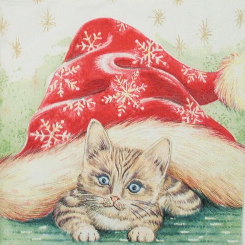 Салфетка  Кот под шапкой