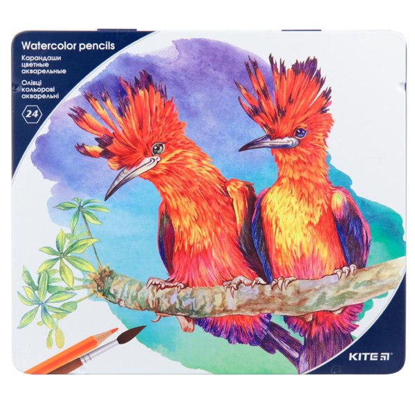 Карандаши цветные акварельные «Птицы» 24 шт, с кисточкой, мет. пенал. Kite - фото 2